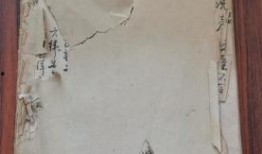 天津探店爆料事件最新,揭秘网红餐厅背后的真相与争议