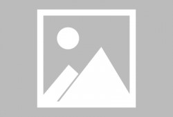 金鱼爆料视频大全最新下载,最新下载集锦一览